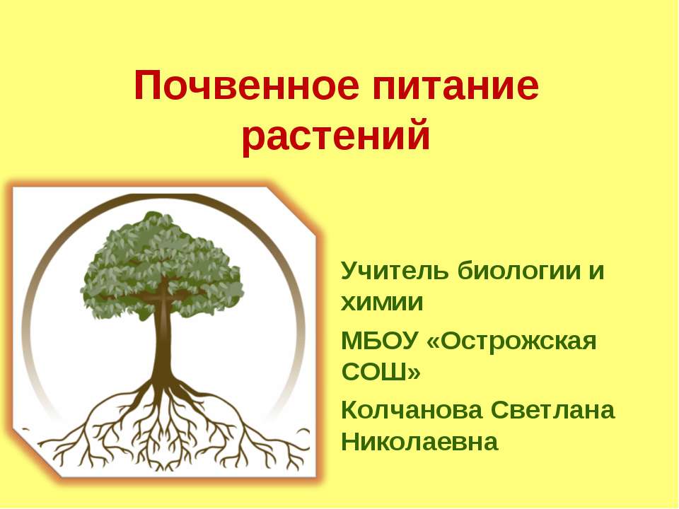 Почвенное питание растений