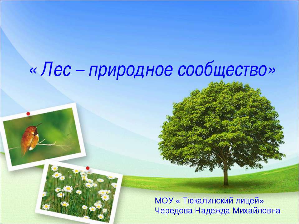 Лес – природное сообщество