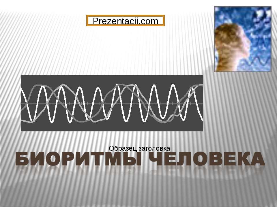 Биоритмы человека
