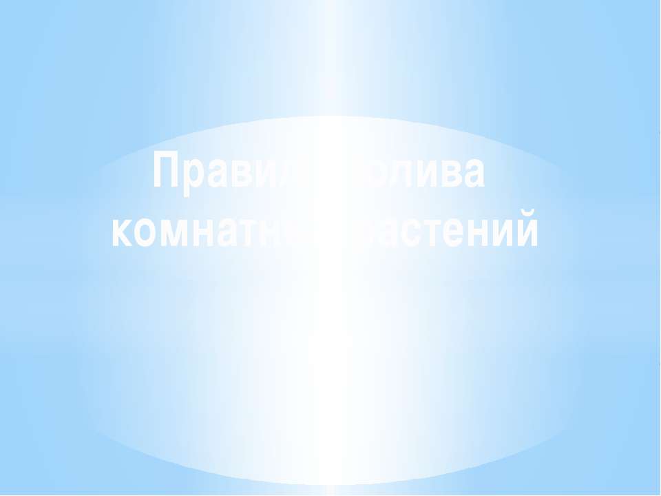 Правила полива комнатных растений