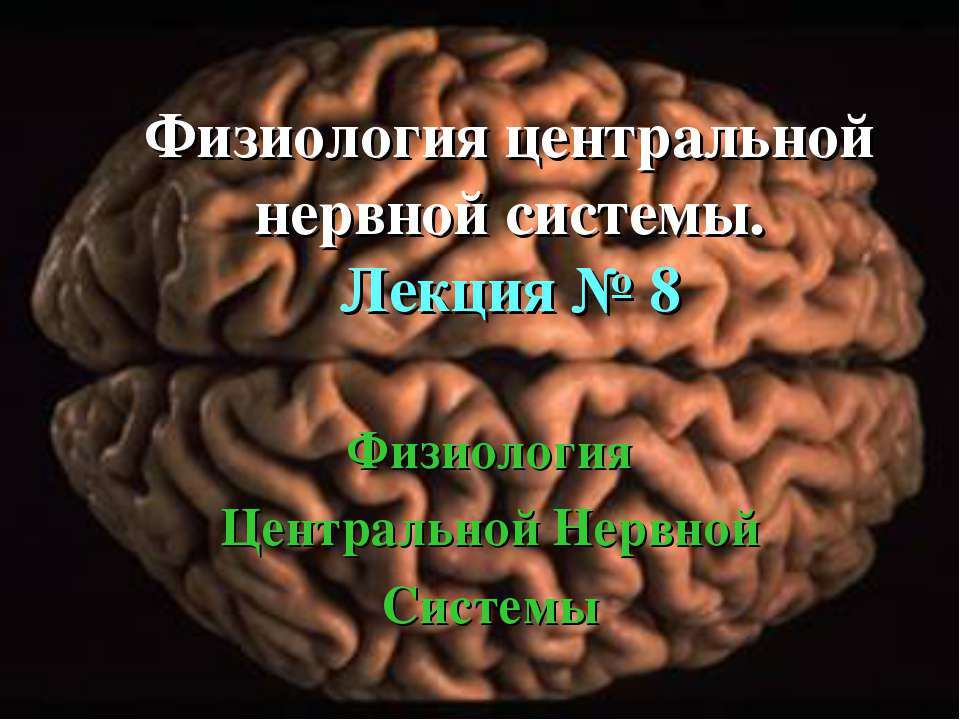 Физиология центральной нервной системы