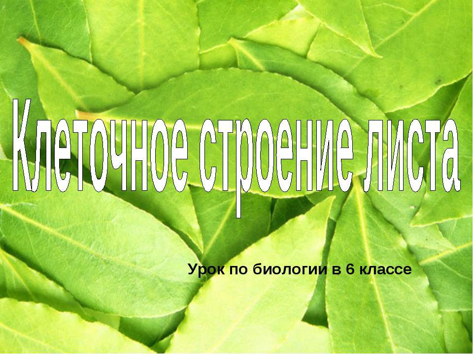 Клеточное строение листа 6 класс