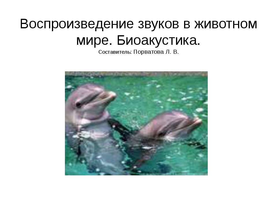 Воспроизведение звуков в животном мире. Биоакустика