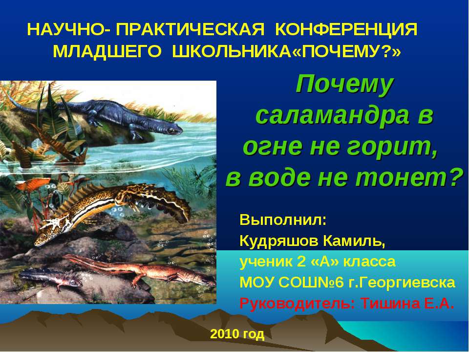 Почему саламандра в огне не горит, в воде не тонет?