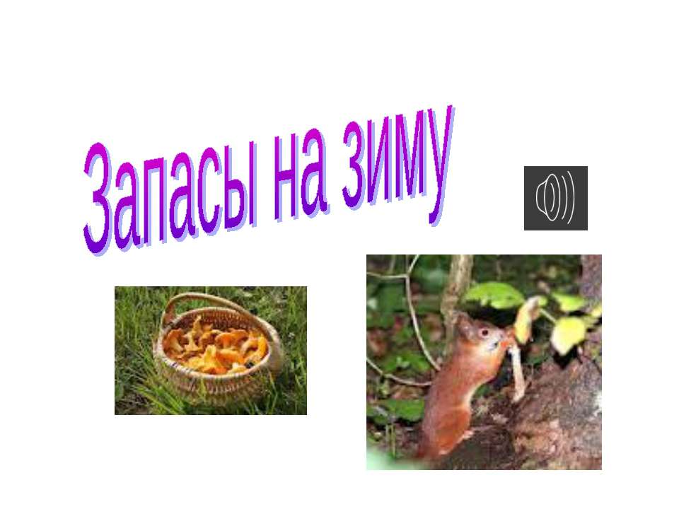 Запасы на зиму