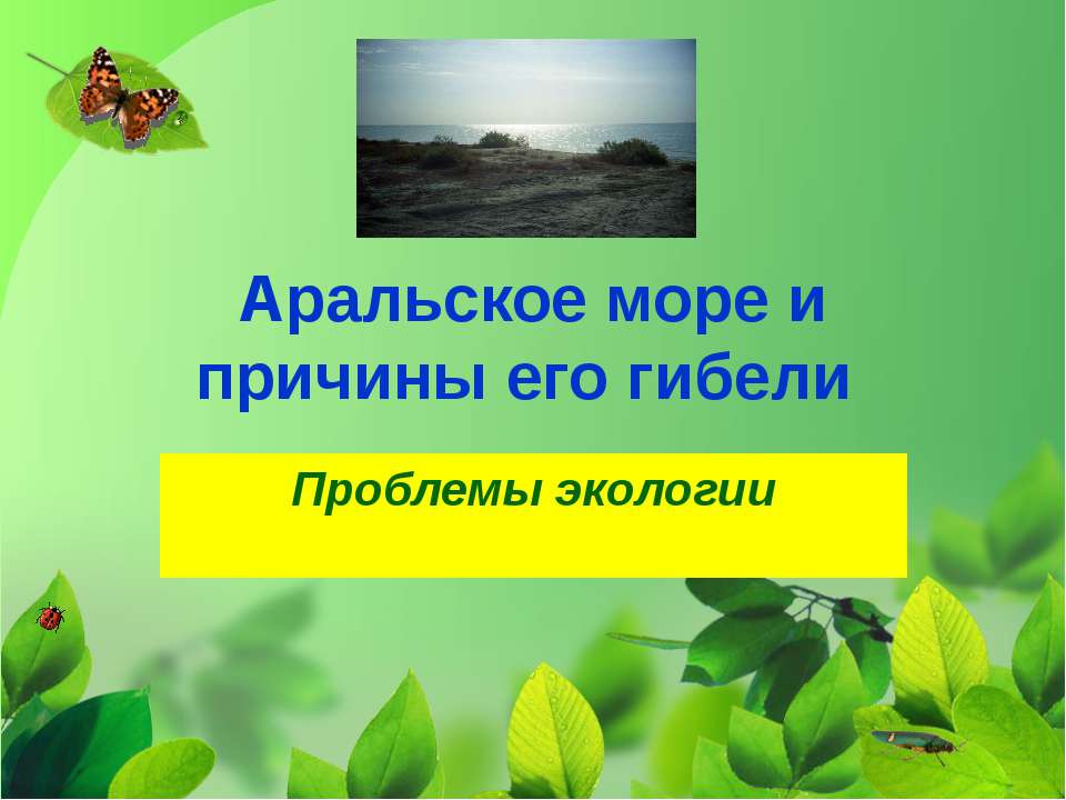 Аральское море и причины его гибели