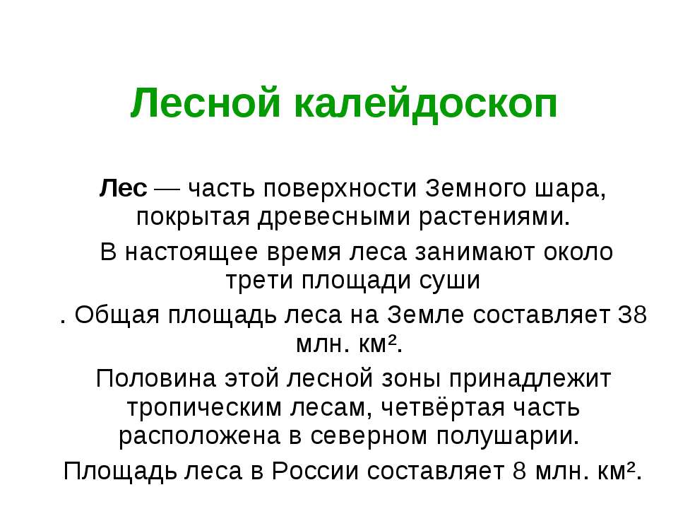 Лесной калейдоскоп