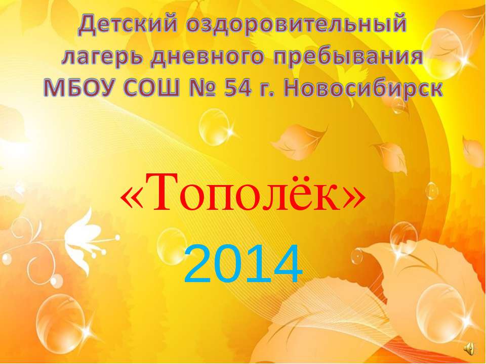 Летний лагерь "Тополёк"