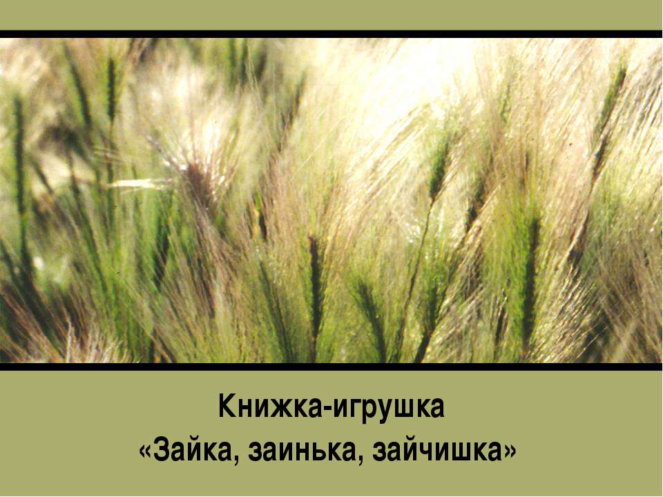 Книжка-игрушка «Зайка, заинька, зайчишка»