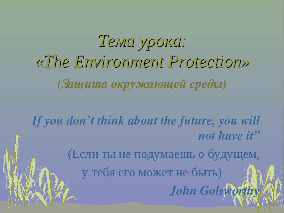 The Environment Protection