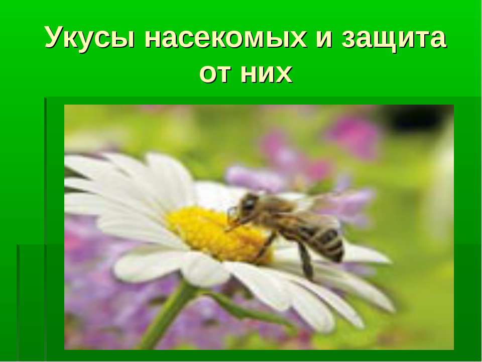 Укусы насекомых и защита от них