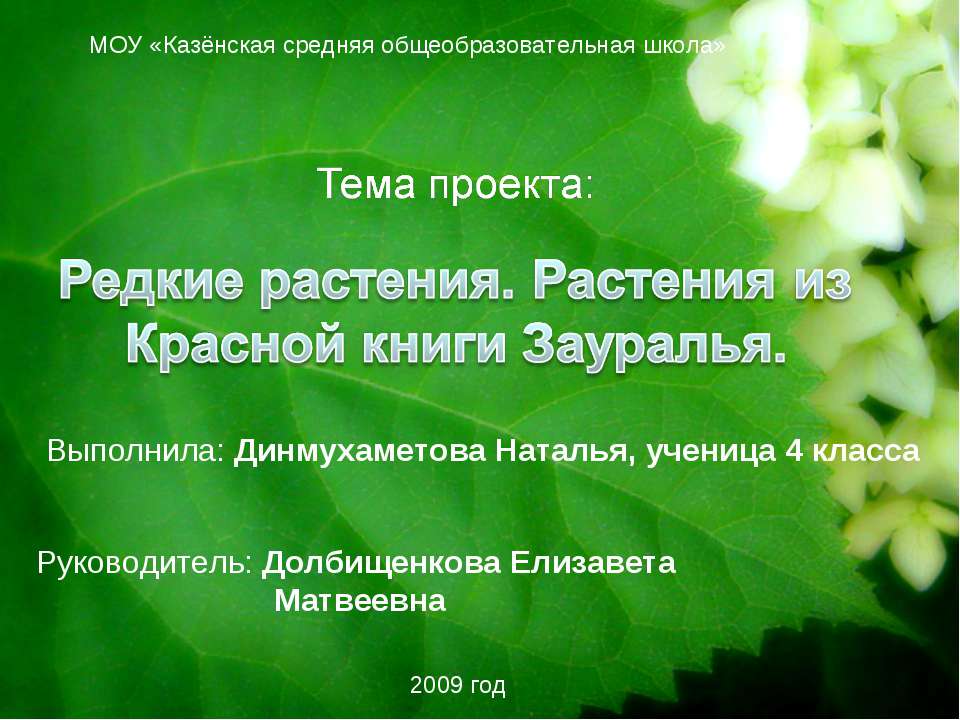 Редкие растения. Растения из Красной книги Зауралья