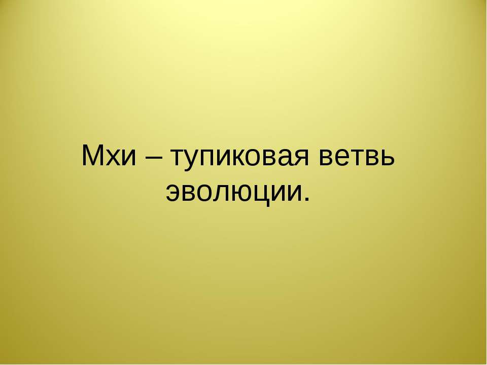 Мхи – тупиковая ветвь эволюции