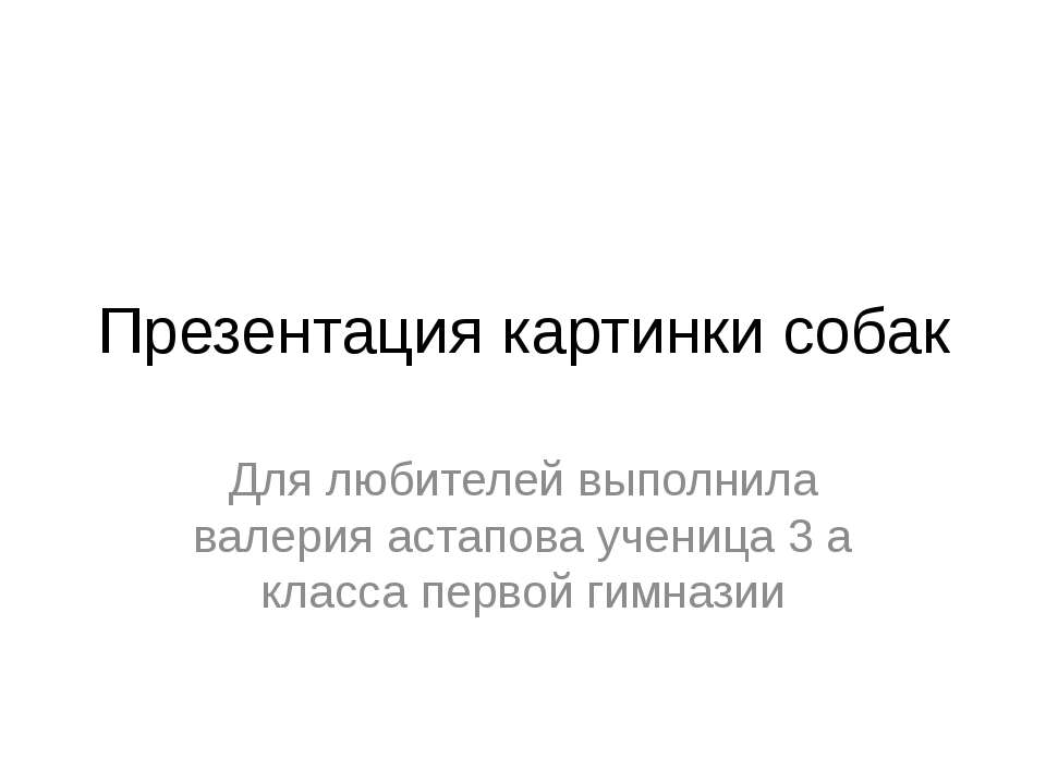 картинки про собак