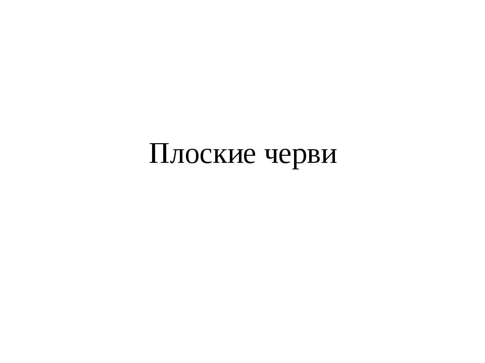 Плоские черви