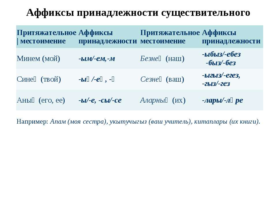 Аффиксы принадлежности существительного