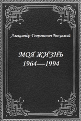 Моя жизнь 1964-1994 (СИ)