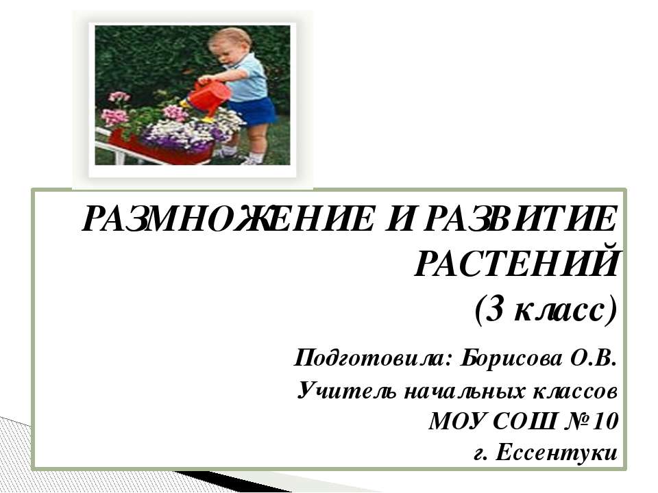 РАЗМНОЖЕНИЕ И РАЗВИТИЕ РАСТЕНИЙ