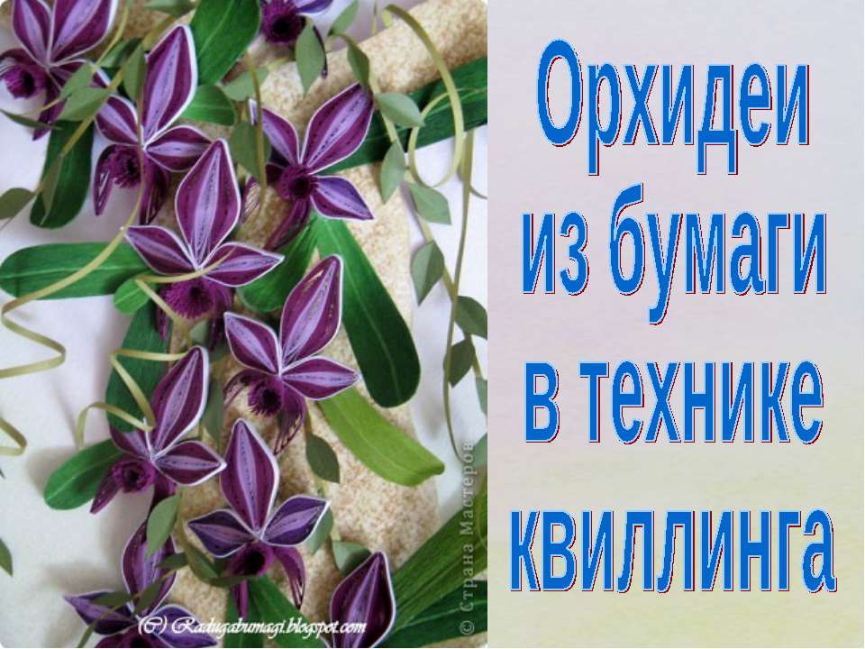Орхидеи из бумаги в технике квиллинга