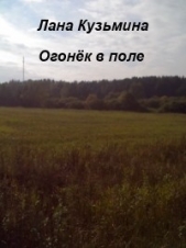 Огонёк в поле (СИ)