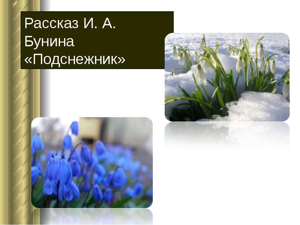Рассказ И.А. Бунина «Подснежник»