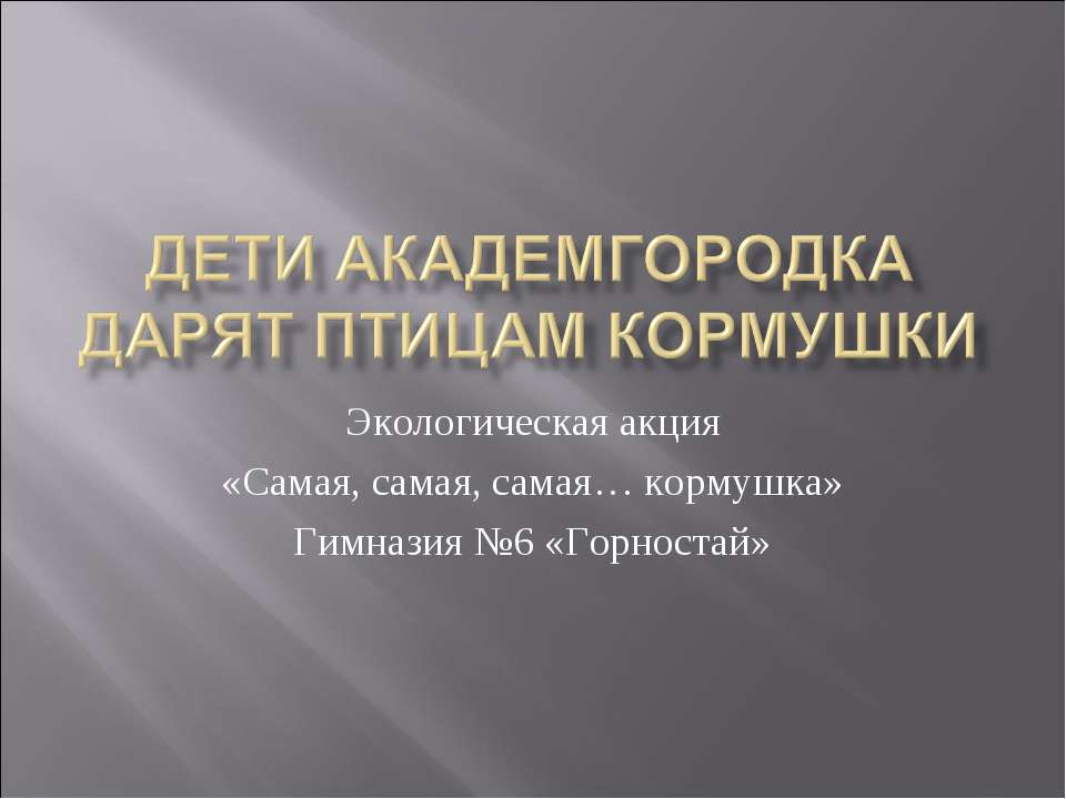 Дети Академгородка дарят птицам кормушки