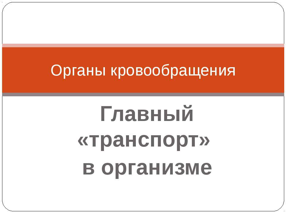 Органы кровообращения. Главный «транспорт» в организме