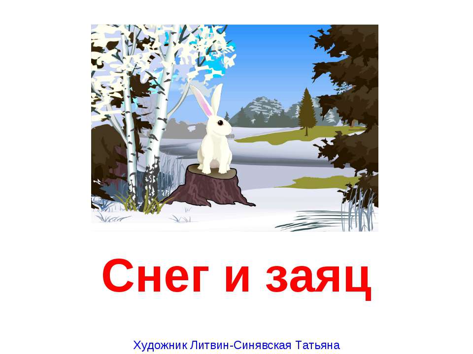 Снег и заяц