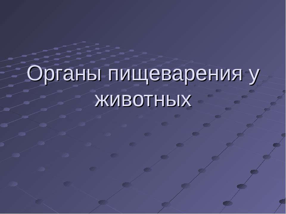 Органы пищеварения у животных