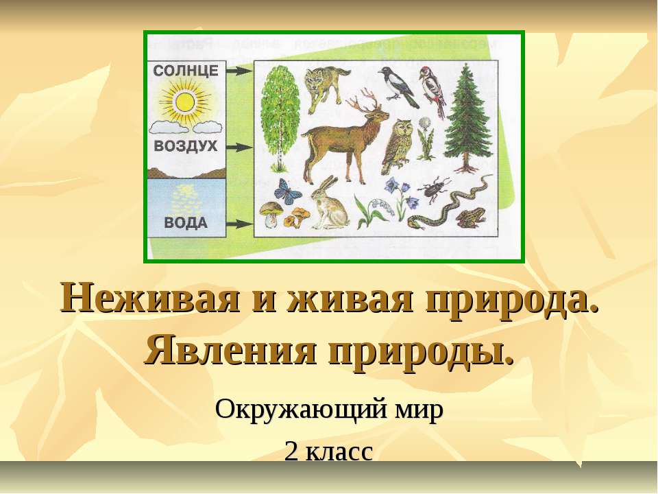 Неживая и живая природа. Явления природы