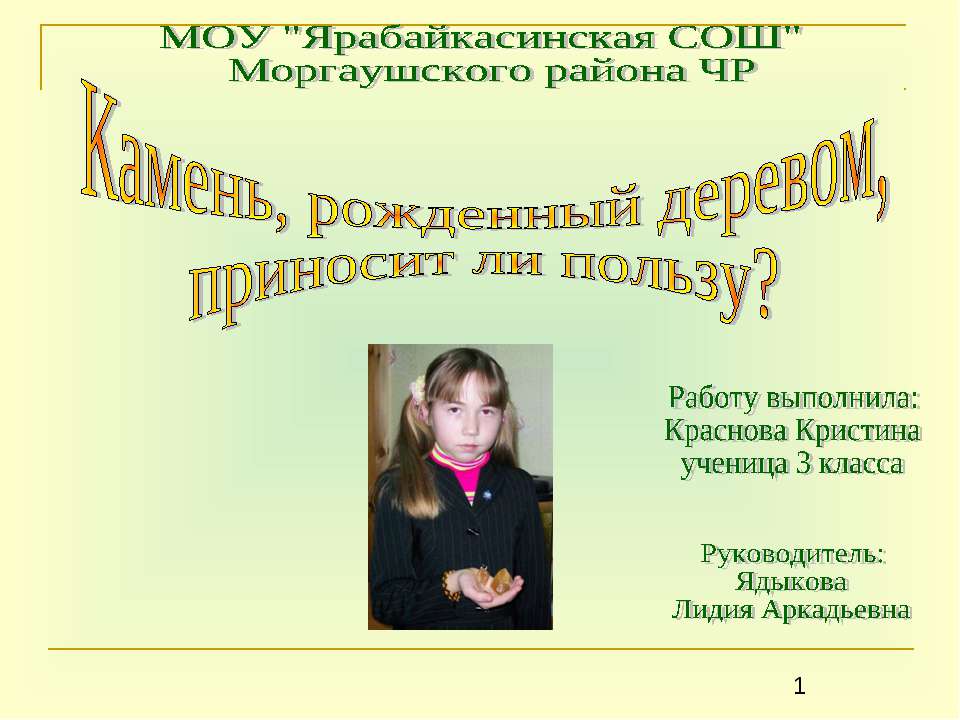Камень, рожденный деревом, приносит ли пользу?