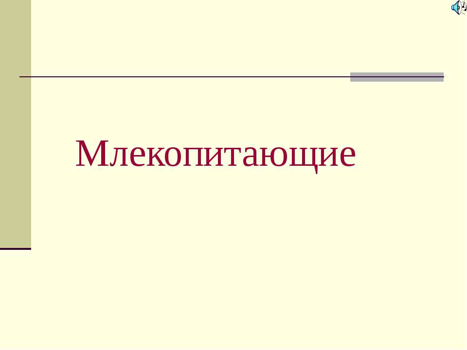 Млекопитающие