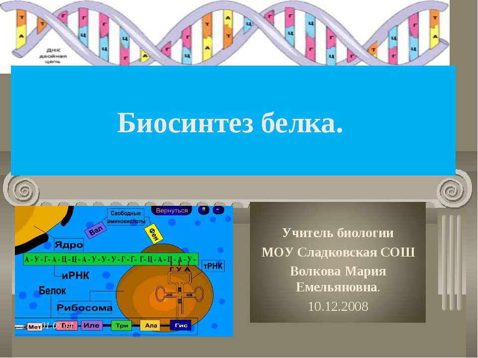 Биосинтез белка 9 класс