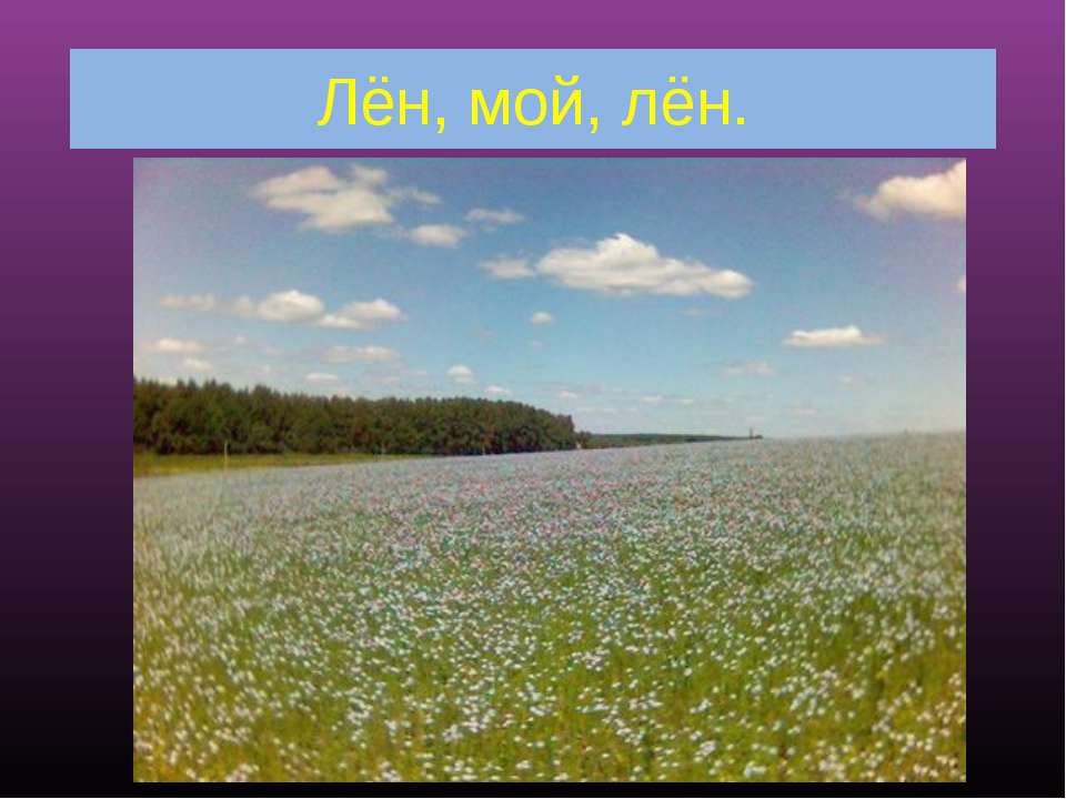Лён, мой, лён