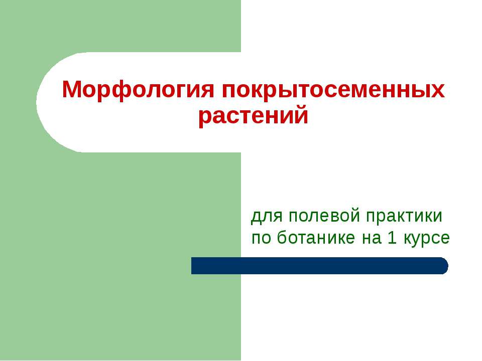 Морфология покрытосеменных растений