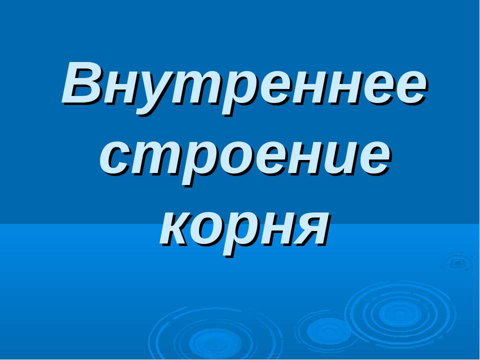 Внутреннее строение корня