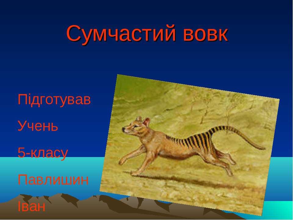 сумчастий вовк