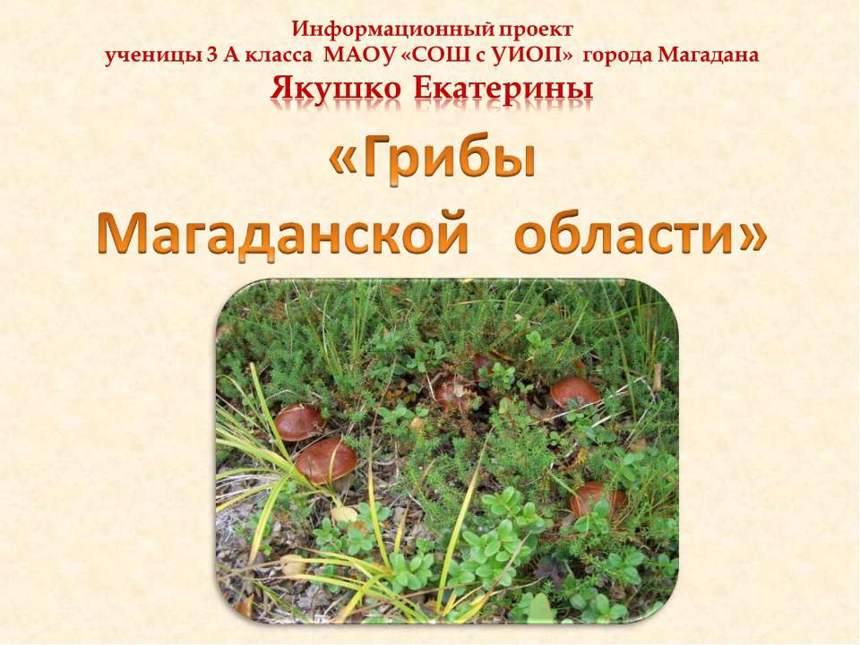 Грибы Магаданской области