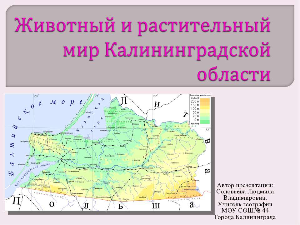 Животный и растительный мир Калининградской области