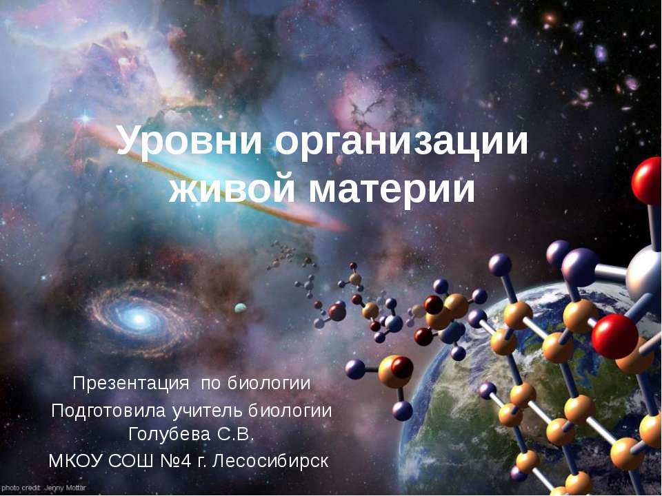 Уровни организации живой материи