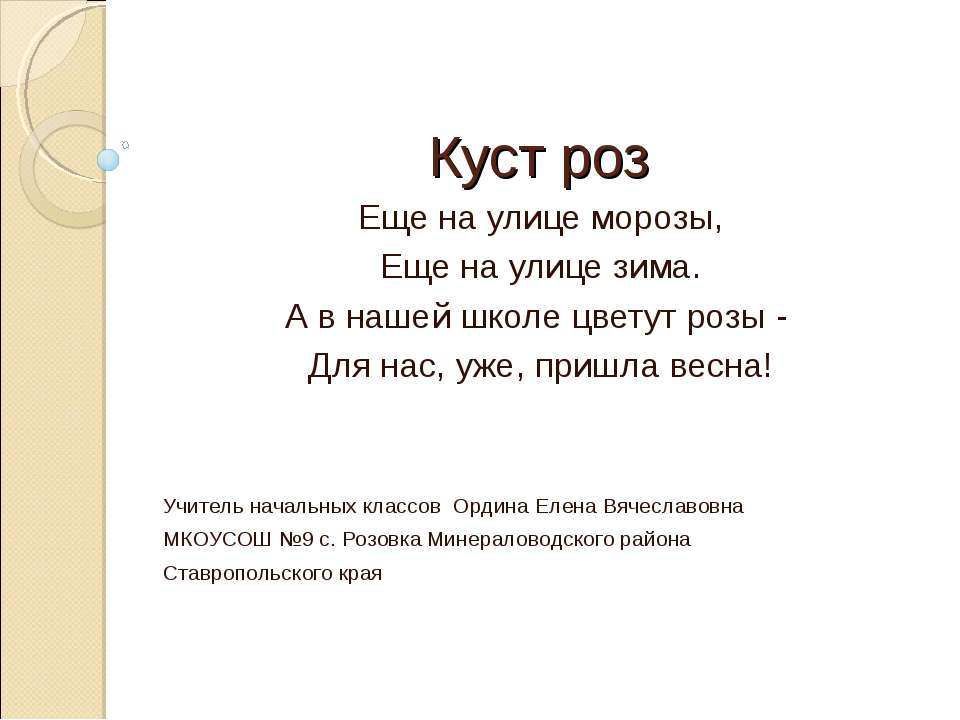Куст роз