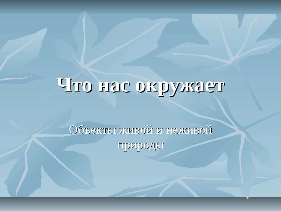 Что нас окружает (Объекты живой и неживой природы)