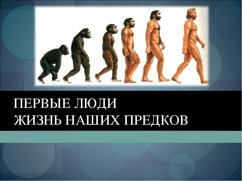 Первые люди. Жизнь наших предков