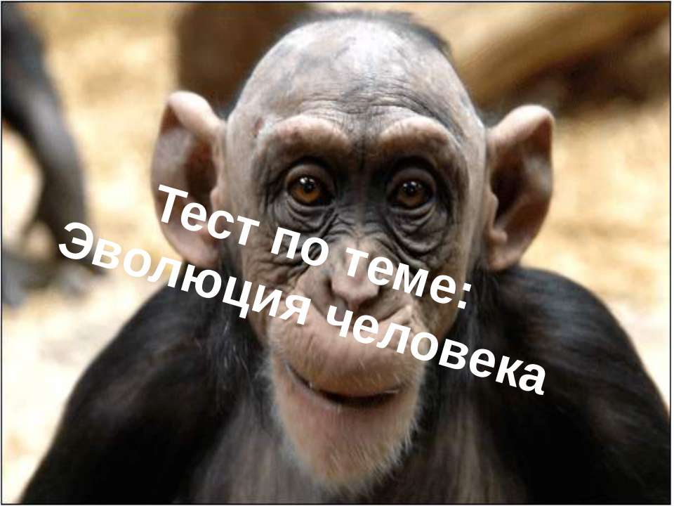 Тест по теме «Эволюция человека»