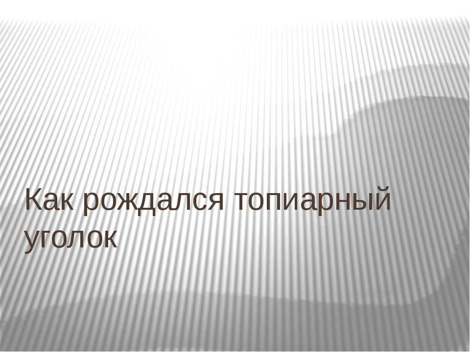 Как рождался топиарный уголок