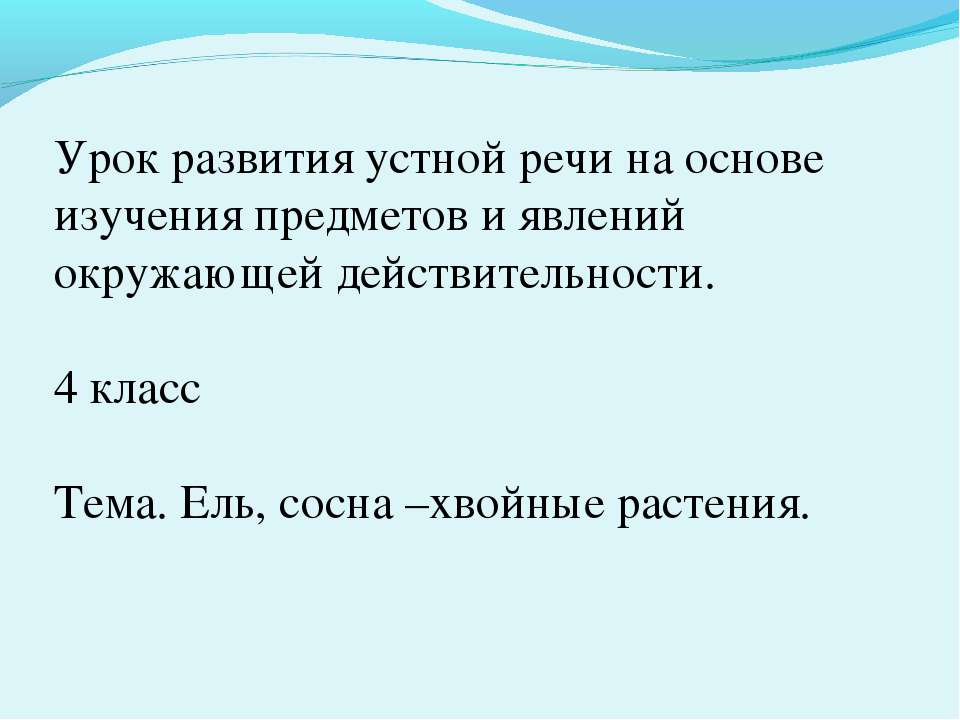 Ель, сосна –хвойные растения