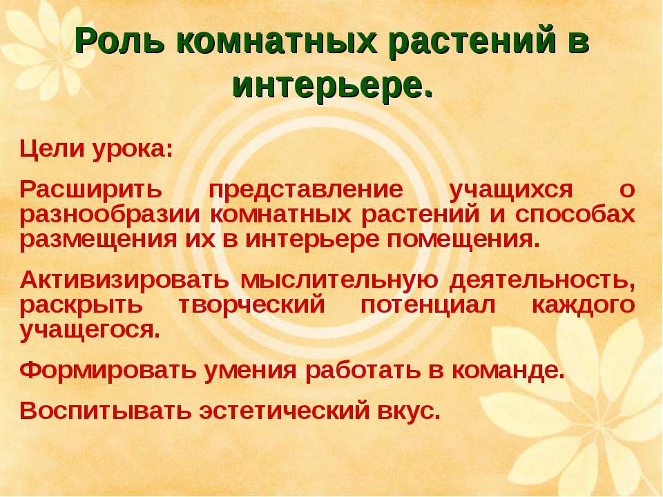 Роль комнатных растений в интерьере