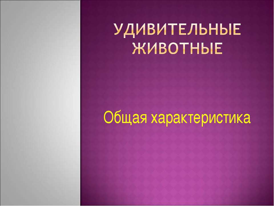Удивительные животные. Общая характеристика