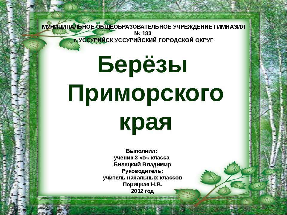 Берёзы Приморского края