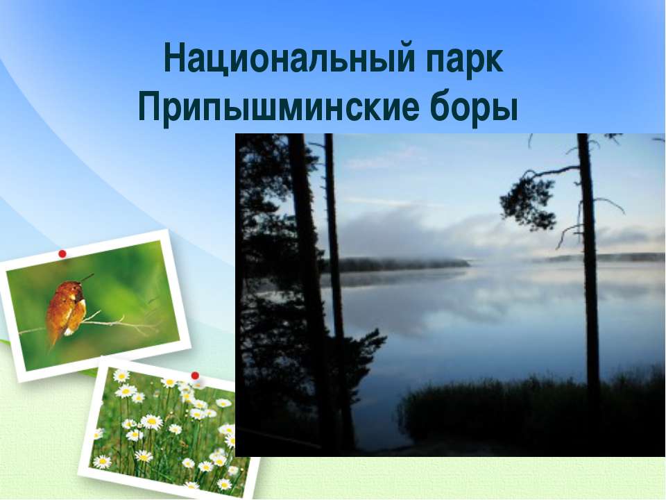 Национальный парк Припышминские боры